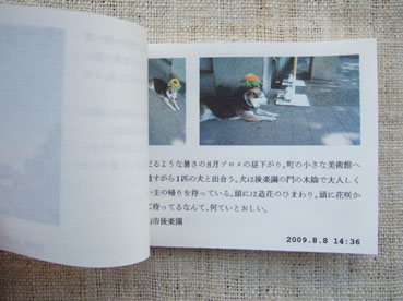 Reiko Takeshima （タケシマ レイコ）