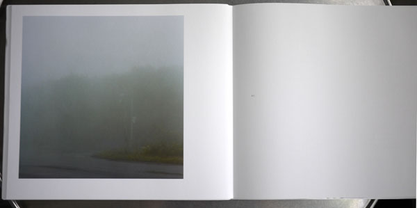 写真集「アオノニマス　肺」 柿崎真子