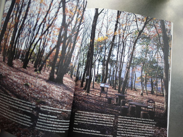 d design travel 埼玉