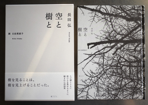 空と樹と