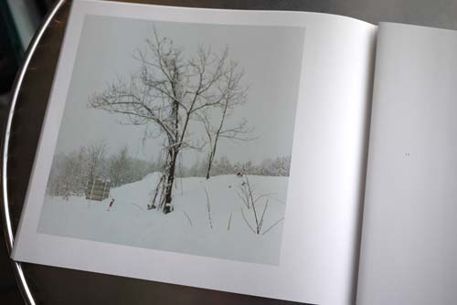 アオノニマス　雪　/　柿崎真子