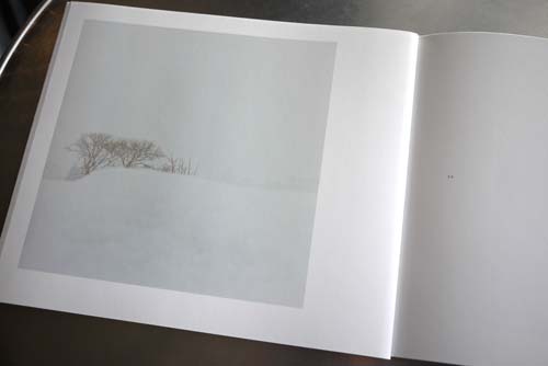 アオノニマス　雪　/　柿崎真子