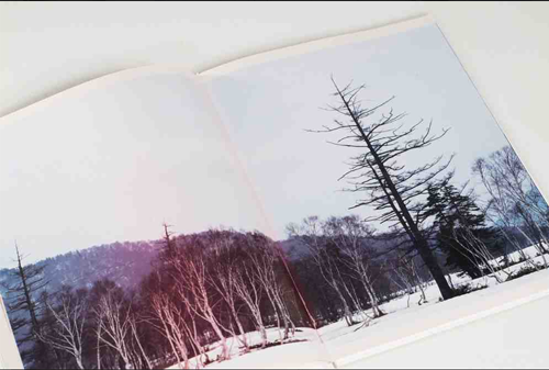 syn crho / Shin Kikuchi