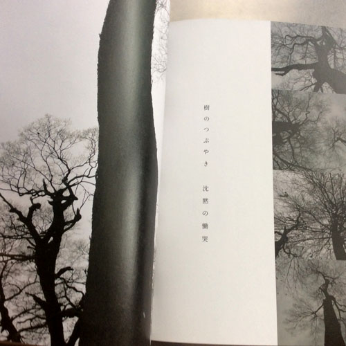 私は私と樹のことを　”私たち”と呼ぶ　,岸田真理子