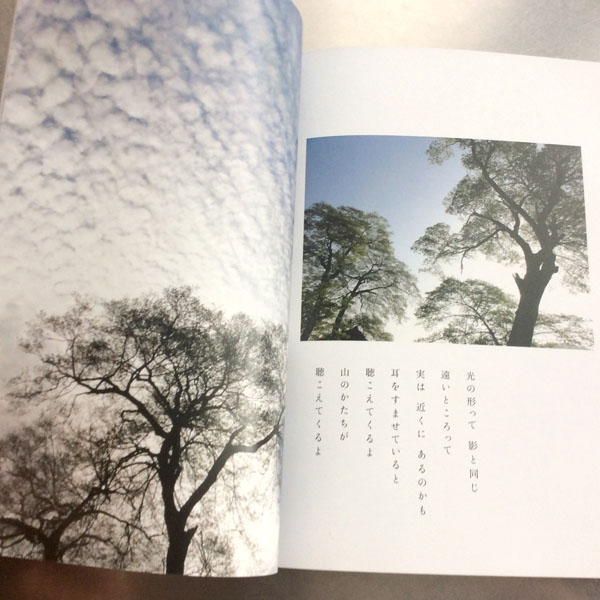 私は私と樹のことを　”私たち”と呼ぶ　,岸田真理子