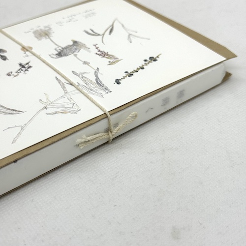 岸田真理子詩集　「種蒔く人」