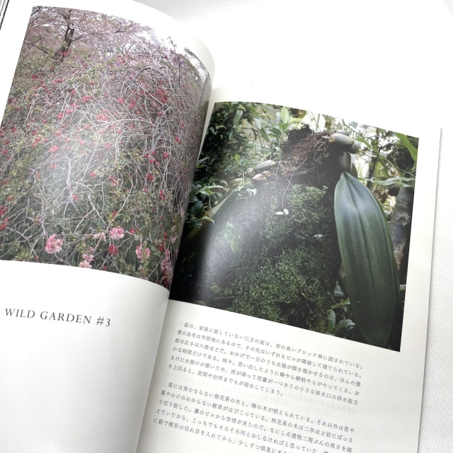 写真誌「陰と陽 Vol.6」