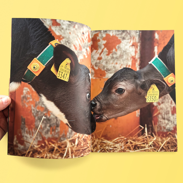 The Dairy Farm “a day” ,キッチンミノル