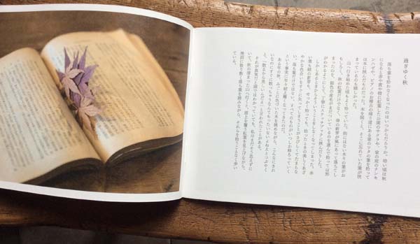 murren vol.23,ミューレン,若菜晃子