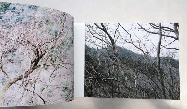 『水平線上を充たす』　芹川由起子　写真集