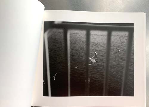 福山えみ写真集『岸を見ていた』