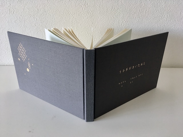 うさぎがきいたおと 美篶堂 布製特装版