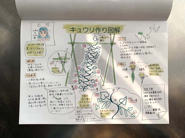 野菜作り図解」