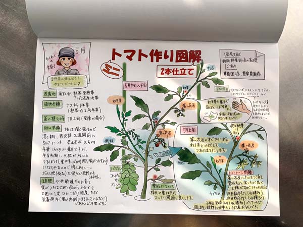 野菜作り図解